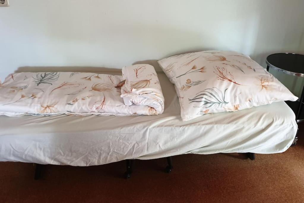 Idyllische Ferienwohnung In Zentrumsnaehe Δρέσδη Εξωτερικό φωτογραφία